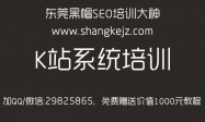 黑帽SEO培訓我只推薦拿站seo奇怪了！(圖3)