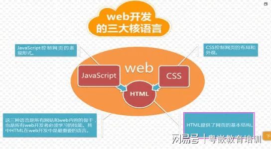 主流編程語言，大家可以跟據(jù)自己的目標進行選擇??！(圖2)