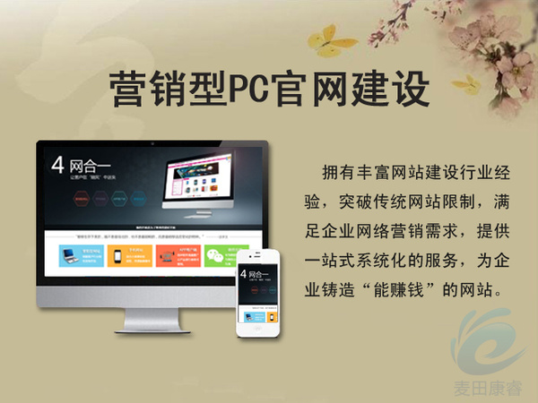 網(wǎng)站開發(fā)騰云網(wǎng)絡(luò)時(shí)代網(wǎng)絡(luò)推廣的價(jià)值在哪程序員開發(fā)網(wǎng)站(圖2)