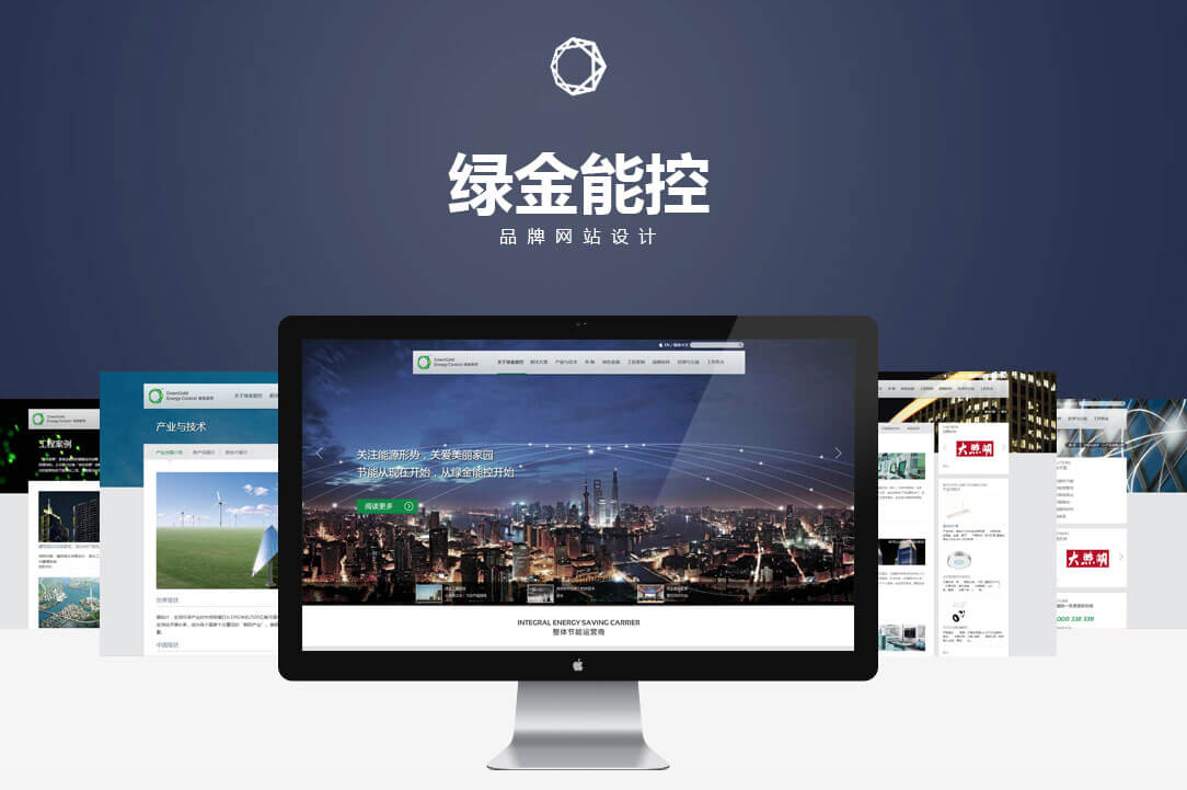 網(wǎng)站騰云網(wǎng)絡(luò)-專業(yè)的電商網(wǎng)站技術(shù)服務(wù)商，幫助國內(nèi)賣家建立電商