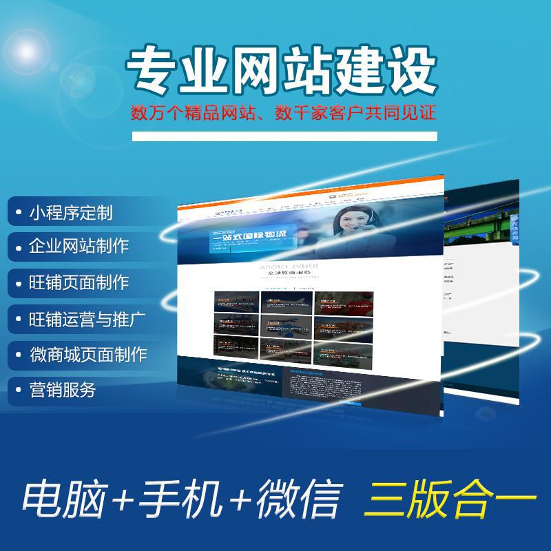 網(wǎng)站制作騰云網(wǎng)絡(luò)-專業(yè)的電商網(wǎng)站技術(shù)服務(wù)商，幫助國內(nèi)賣家建立