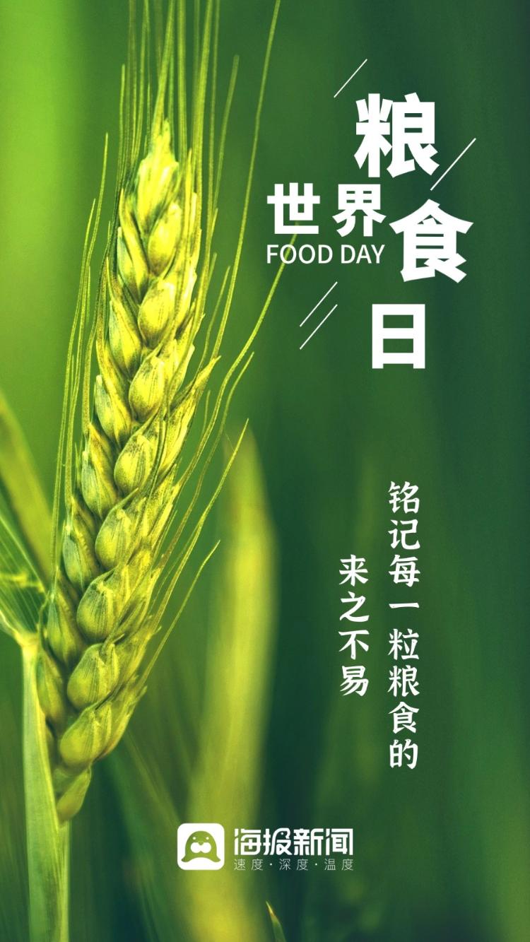 關(guān)于印發(fā)政府網(wǎng)站與政務(wù)新媒體檢查指標(biāo)、監(jiān)管工作年度考核指標(biāo)的通知(圖2)