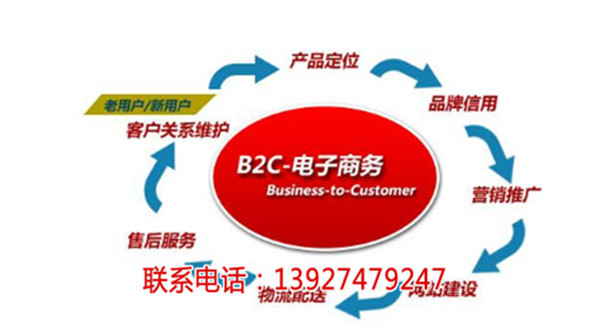 網(wǎng)站建設(shè)流程大揭秘：明確主題，實(shí)現(xiàn)不同類型網(wǎng)站的多樣功能